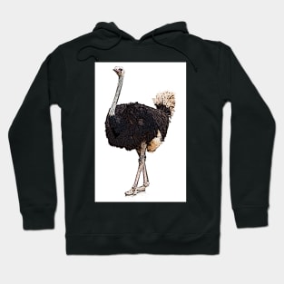 Ostrich Hoodie